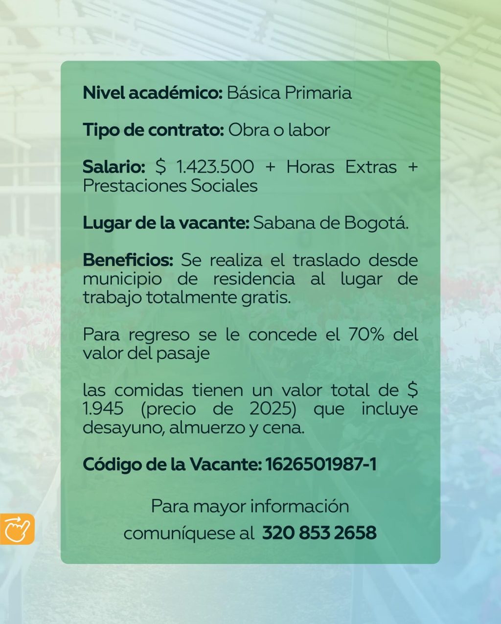 Instagram post from comfacoroficial. This post is in position 1.